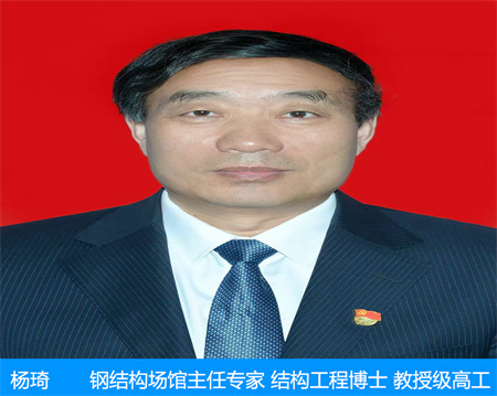 楊琦—鋼結(jié)構(gòu)場館主任專